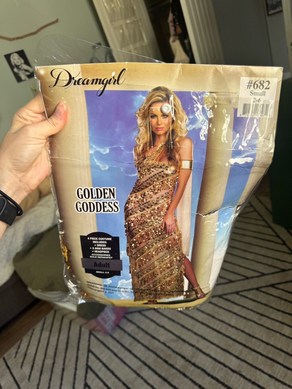 Dreamgirl Golden Goddess Sequin Dress Costume in Gold